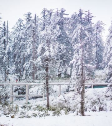 洪雅游记图文-瓦屋山亲子游，距离成都最近的冰雪王国
