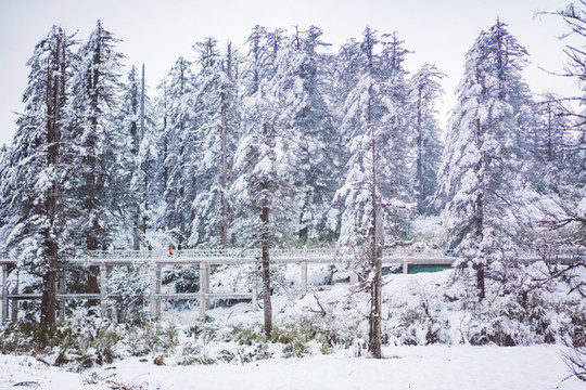 瓦屋山亲子游,距离成都最近的冰雪王国