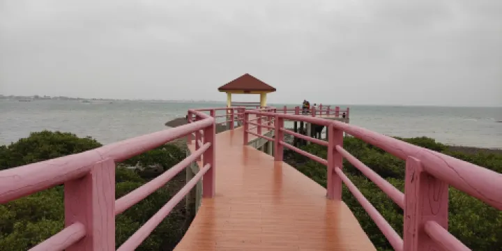 特呈島紅樹林濕地公園