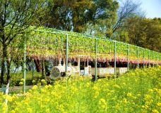 墨潭桃花岛-吉水-C-IMAGE