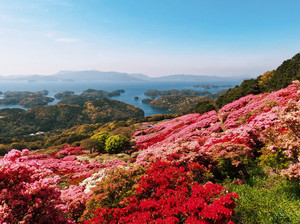 佐世保市游记图文-【日本不见不散】春游长崎佐世保种草清单