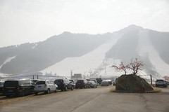 辽阳游记图片] 金熙男：冰雪·健康你我