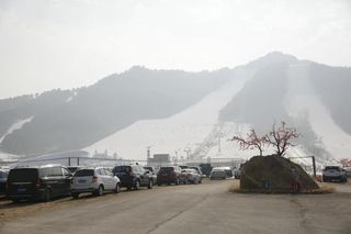 金熙男:冰雪·健康你我