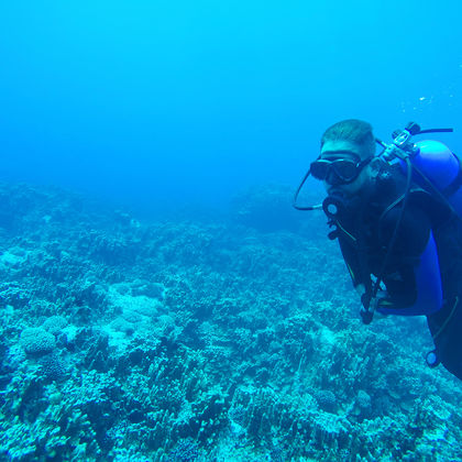 埃及红海潜水+赫尔格达一日游
