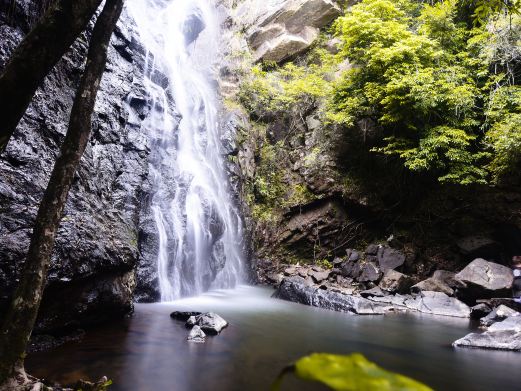 马峦山郊野公园