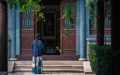 龙口游记图片] 龙口南山，一山一花一树一寺庙，别样的风景