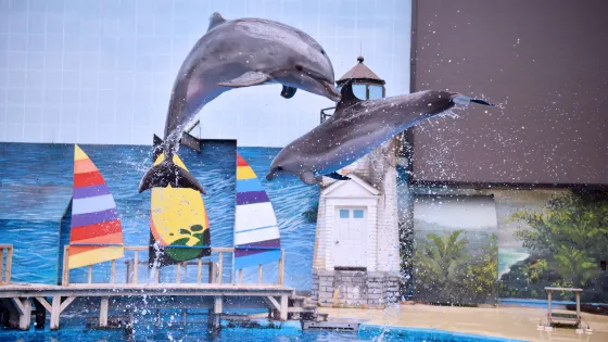 天津極地海洋公園