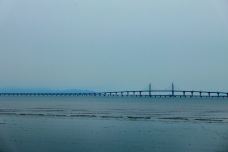 珠海拱北口岸-珠海-不可触碰撞的鱼