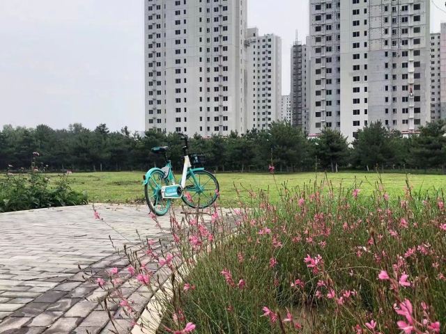 西局玉璞园旅行图片 2