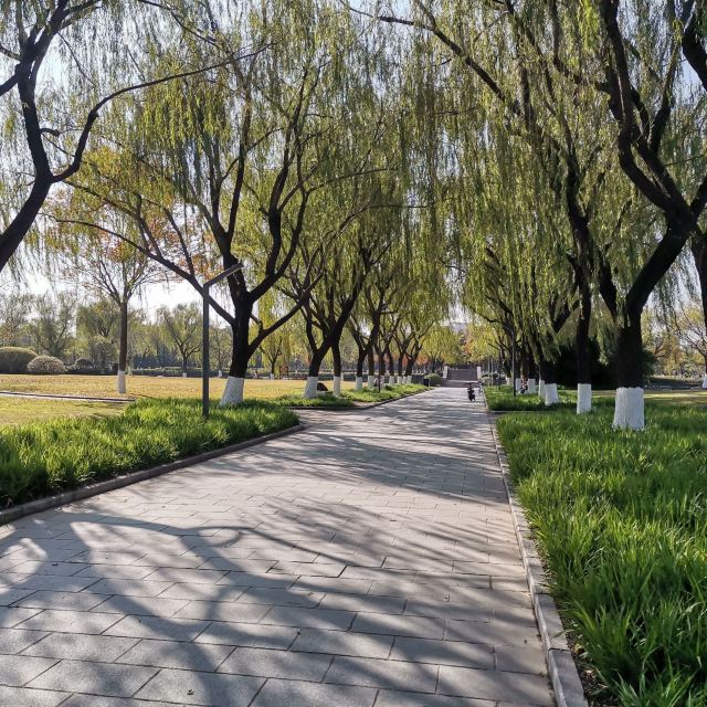 五溪文化广场旅行图片 3