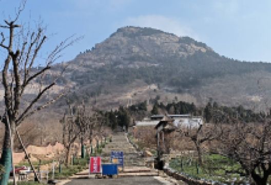 凤凰山森林公园景点图片