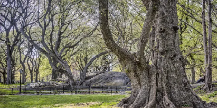 西拉木倫公園神奇洞