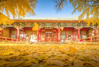 恭王府+圆明园+北海公园一日活动【冬季特惠◆导游讲解◆无购物】【[优质交通]正规旅游空调大巴，每人一正座。】