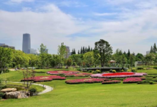 上海植物园景点图片