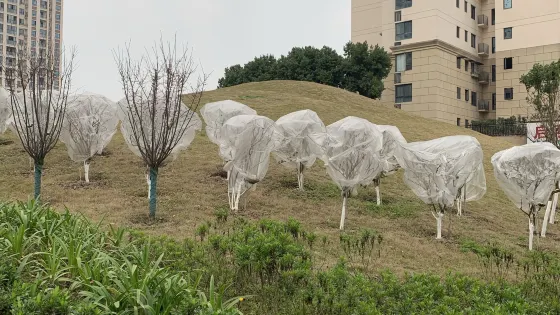 時代·動步公園