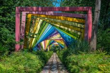 滨湖国家森林公园-合肥