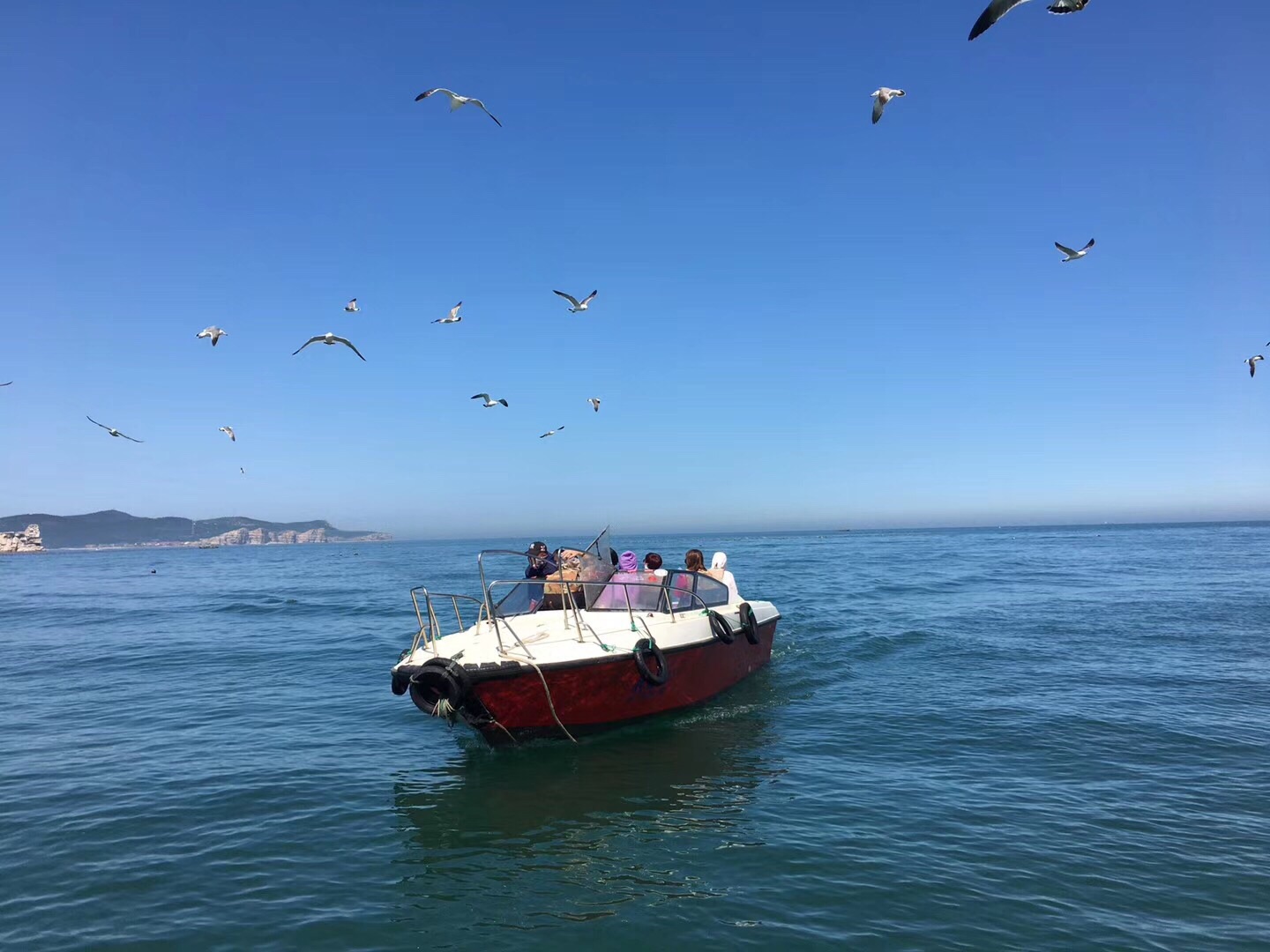 钓鱼岛海豹礁