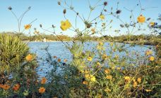 新奥尔良城市公园-新奥尔良-zhulei831230