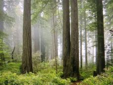 白杨沟村-乌鲁木齐县-滇国剑客