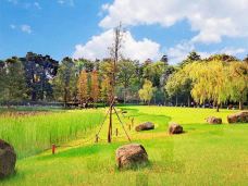 东山湖公园-广州-vivid