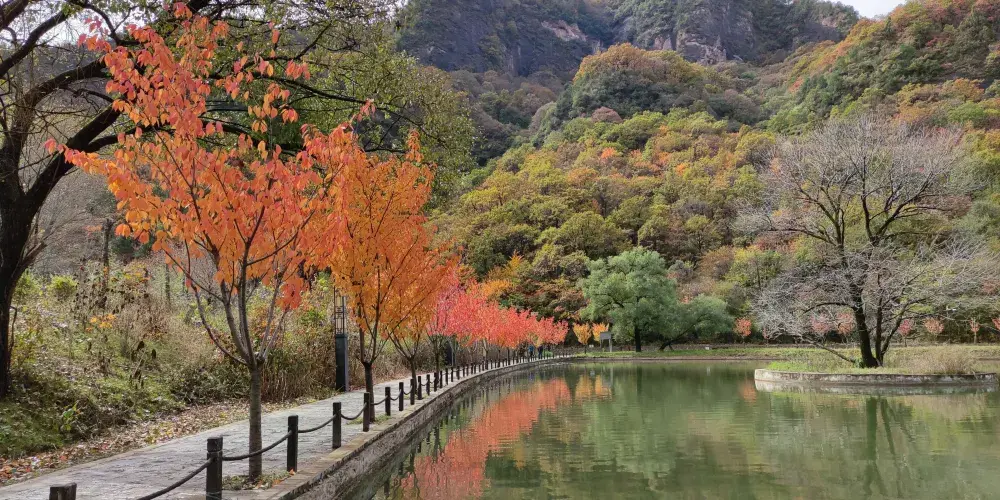 永安旅遊