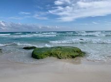 Playa Forum-坎昆-YoYo_5T8M8W5T