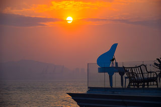 奔赴网红鹭岛，赴一场“世纪约会”｜厦门土著游记