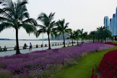 珠海拱北口岸-珠海-不可触碰撞的鱼