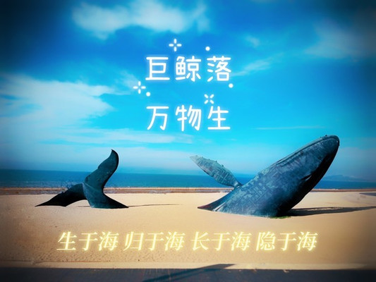 大美烟台,观鲸落,赏美景,住温馨民宿