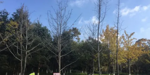 春融公園