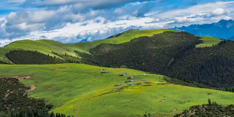 藏北大草原