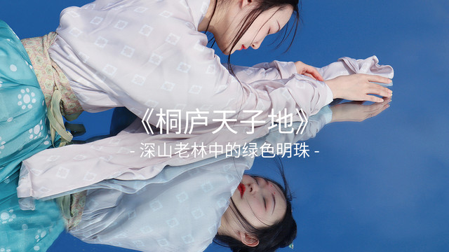 桐庐天子地 藏在深山中的宝藏打卡地