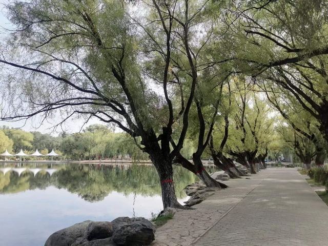 青城公园旅行图片 3
