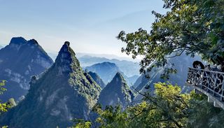 酷暑时节带着婆婆游张家界