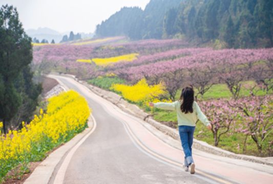 我在宋井桃源,邂逅了最美的春天