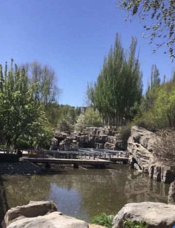 西宁市海棠公园