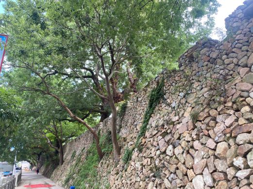 传胪城堡
