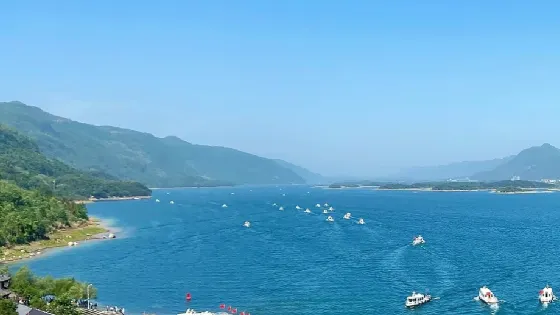 仙龍島