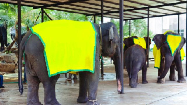 暹羅象園（暹羅大象廣場）