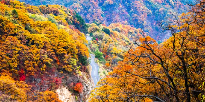 六安市金寨縣馬鬃嶺風景區