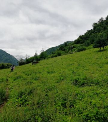 平武游记图文-2020端午平武三天游