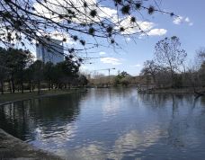 赫曼公园-休斯敦-小小呆60