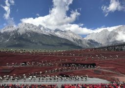 travel picture
