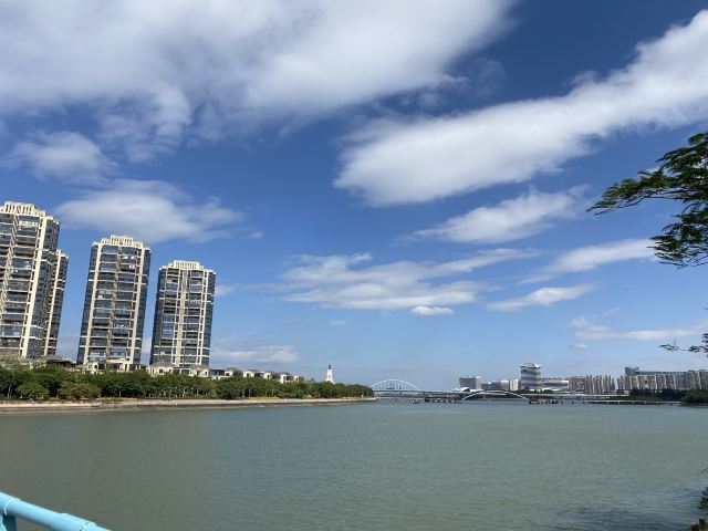 五缘湾湿地公园旅行图片 5