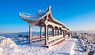 门票免费，洛阳这座小城的景区冰雕玉琢，错过要等一年