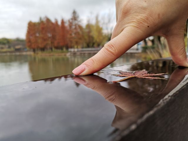 金桥公园旅行图片 2