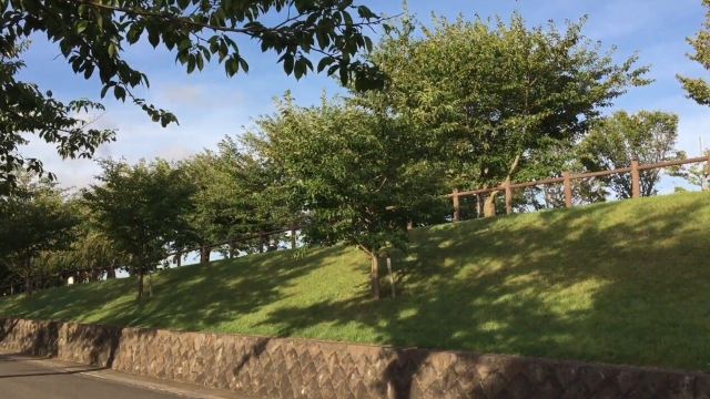 成田市成田市樱之山游玩攻略简介 成田市成田市樱之山门票 地址 图片 开放时间 照片 门票价格 携程攻略