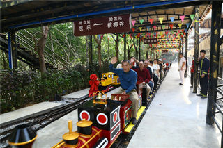 开上心爱的小火车,感受黎乡的美