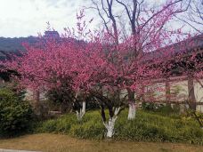 东吴文化公园-杭州-西溪老翁