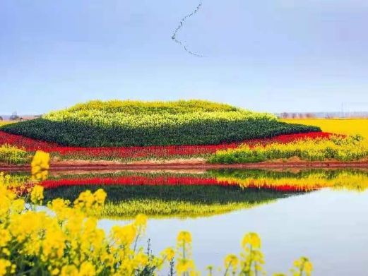 高邮·湖上花海